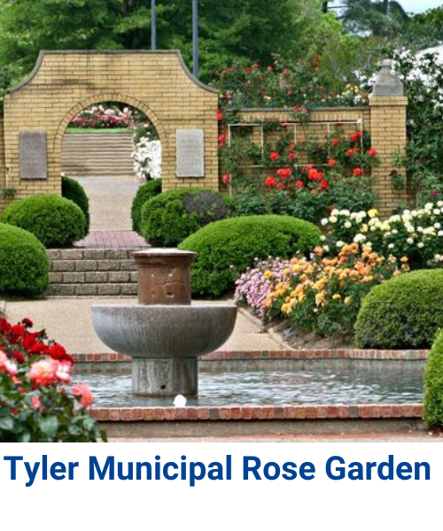 Tyler Municipal Rose Garden