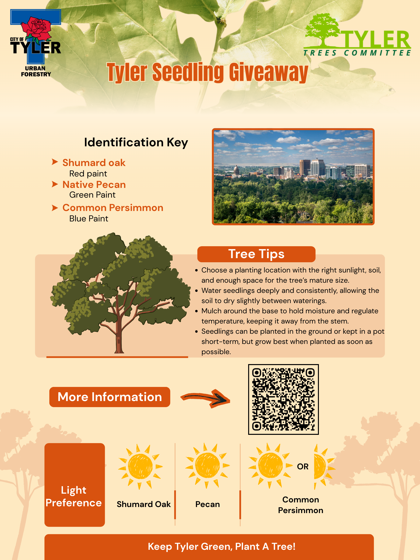 Tree Seedling Giveaway Identification and Care